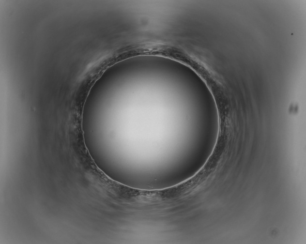X0000090921447200707301523