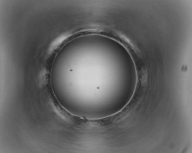 X0000090921448200707301523