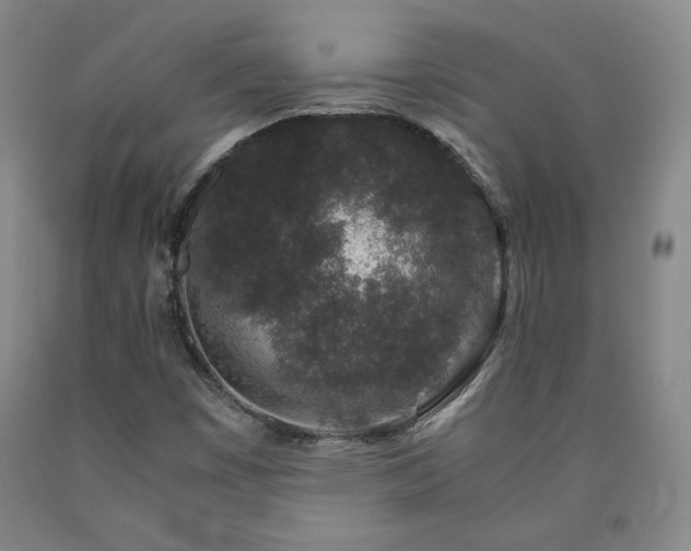 X0000090921449200707301523