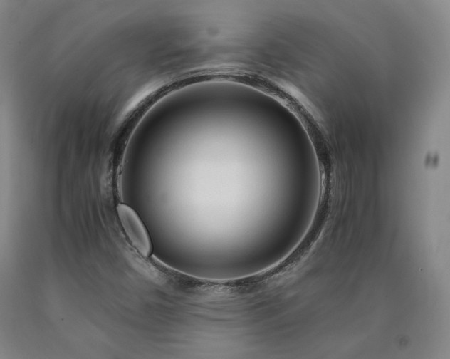 X0000090921450200707301523