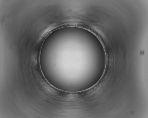 X0000090921451200707301523