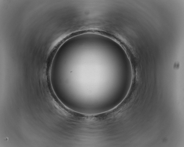 X0000090921452200707301523