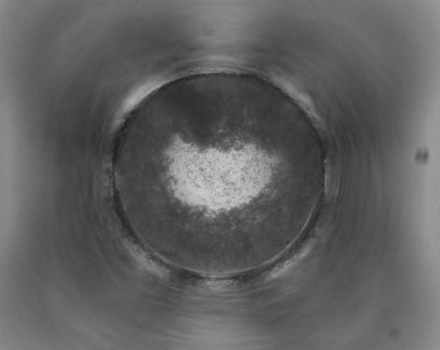 X0000090921453200707301523