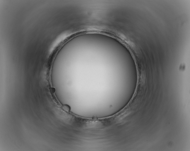 X0000090921454200707301523