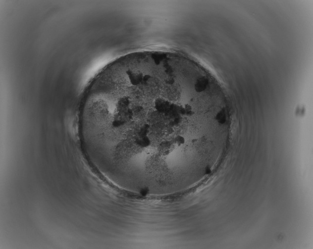 X0000090921455200707301523
