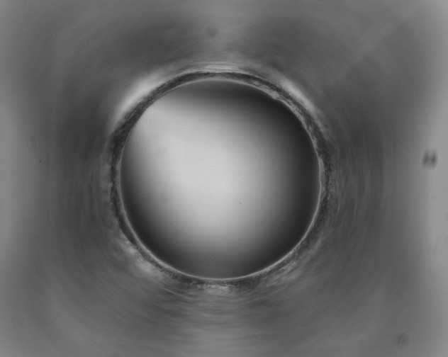 X0000090921456200707301523