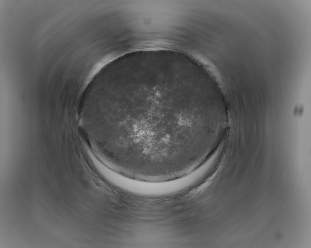 X0000090921457200707301523