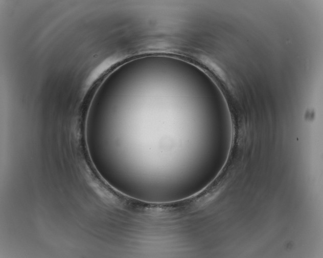 X0000090921458200707301523
