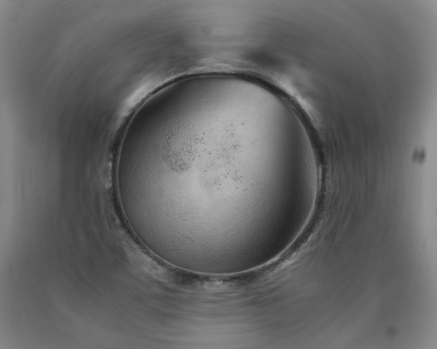 X0000090921459200707301523