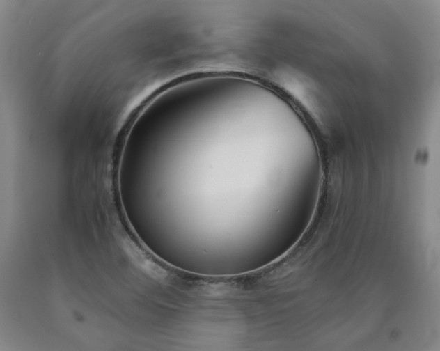 X0000090921460200707301523