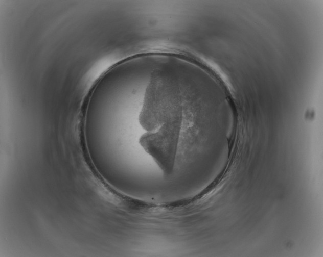X0000090921463200707301523