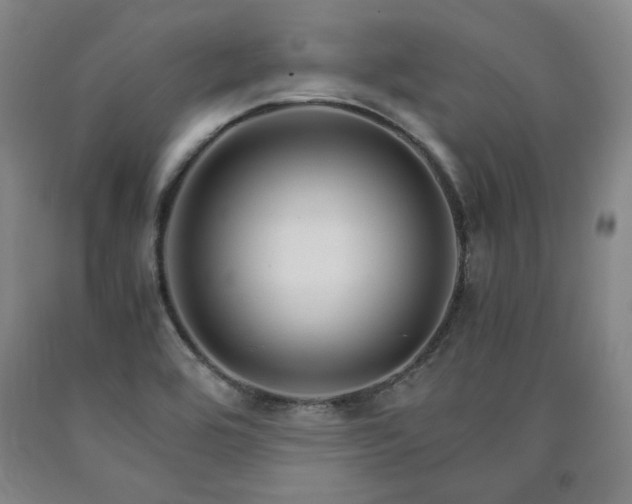 X0000090921464200707301523