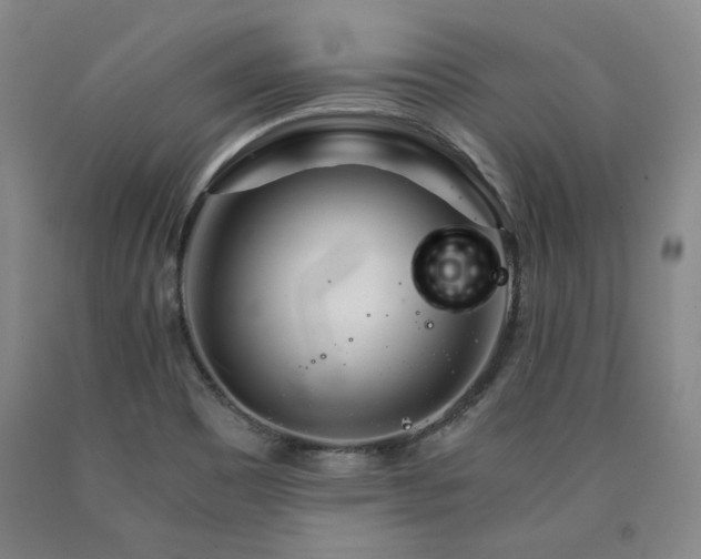 X0000090921465200707301523