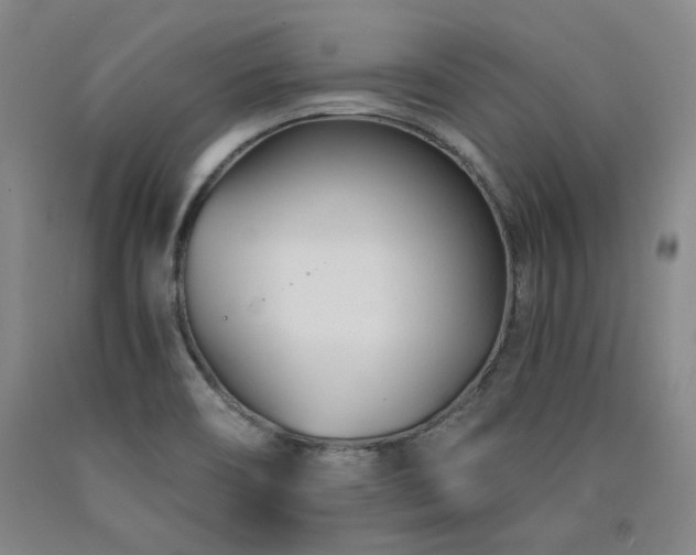 X0000090921466200707301523