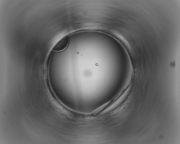 X0000090921467200707301523