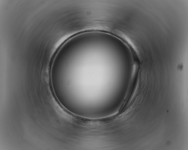 X0000090921468200707301523