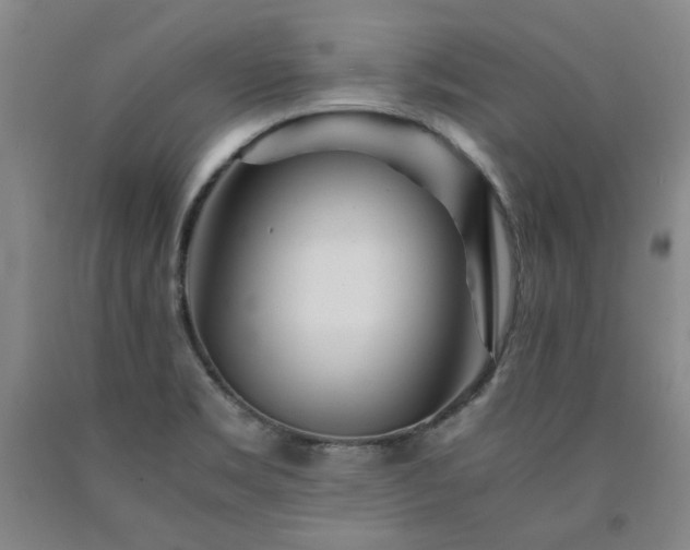 X0000090921469200707301523