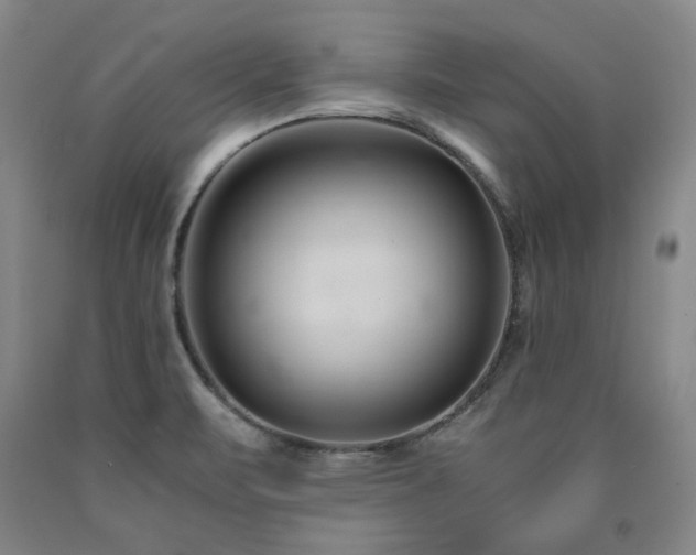 X0000090921471200707301523