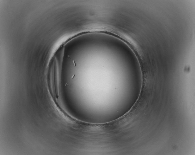 X0000090921472200707301523