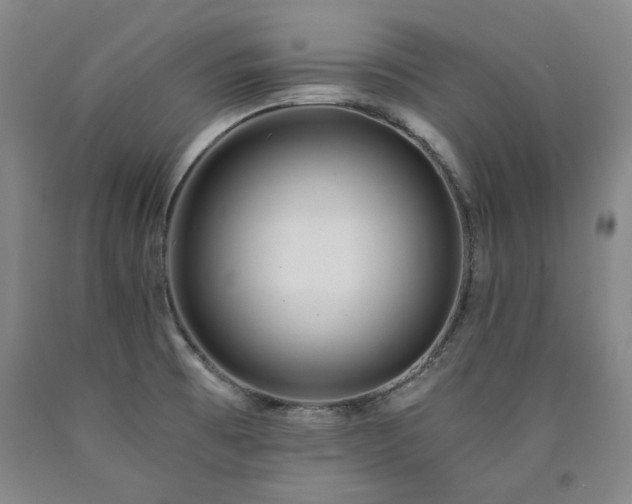 X0000090921473200707301523