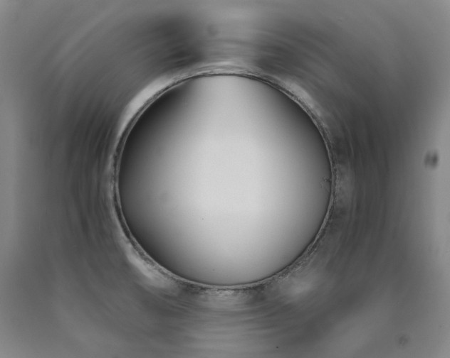 X0000090921474200707301523