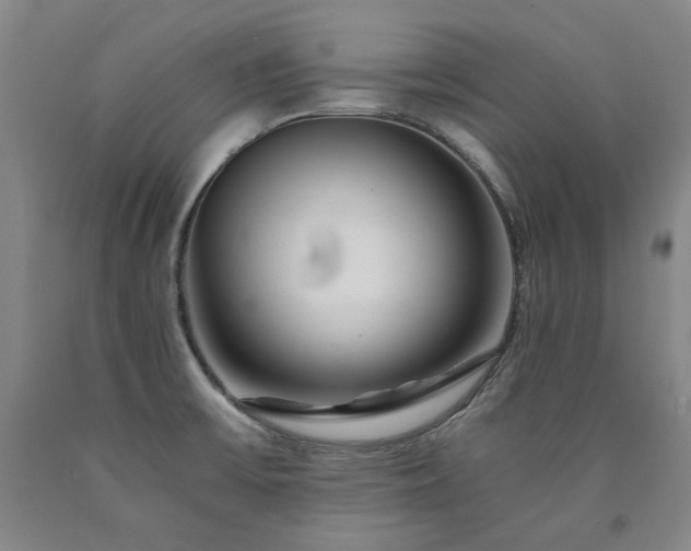 X0000090921475200707301523