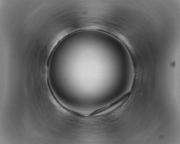 X0000090921476200707301523