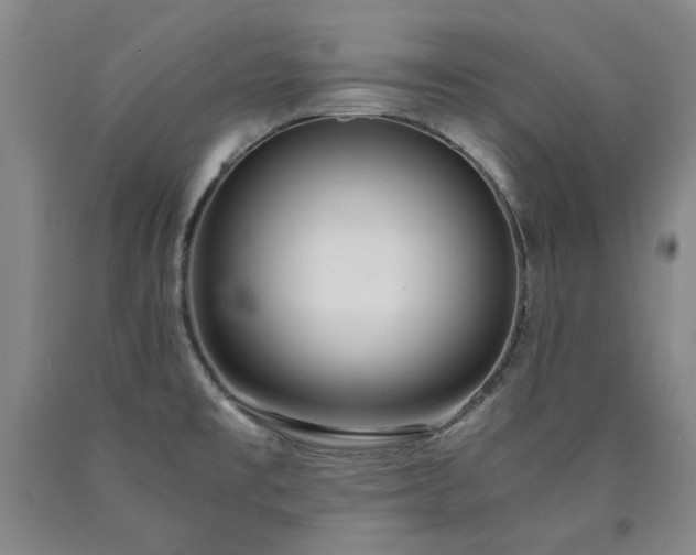 X0000090921477200707301523