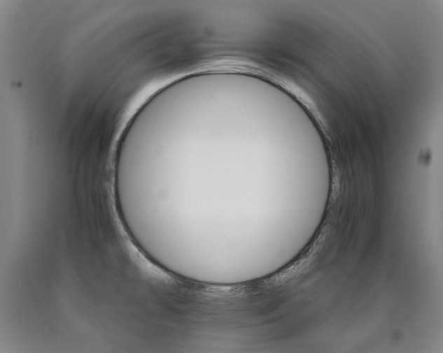 X0000090921478200707301523