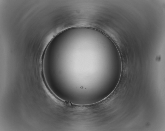 X0000090921479200707301523