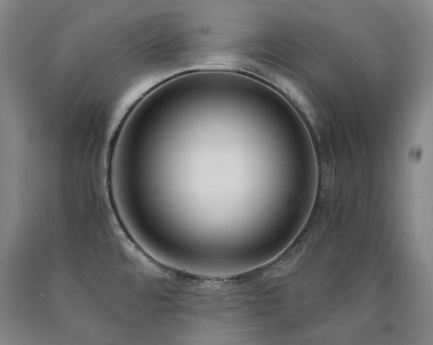 X0000090921480200707301523