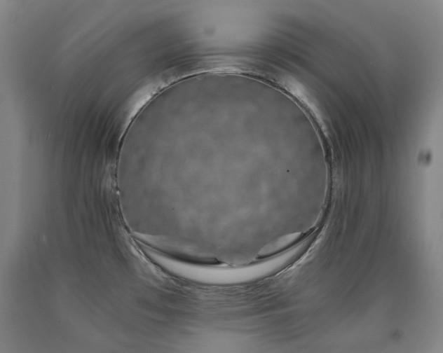 X0000090921481200707301523