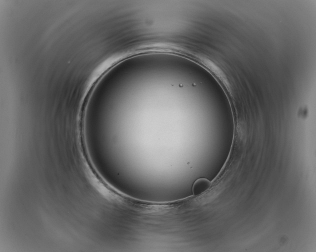 X0000090921482200707301523