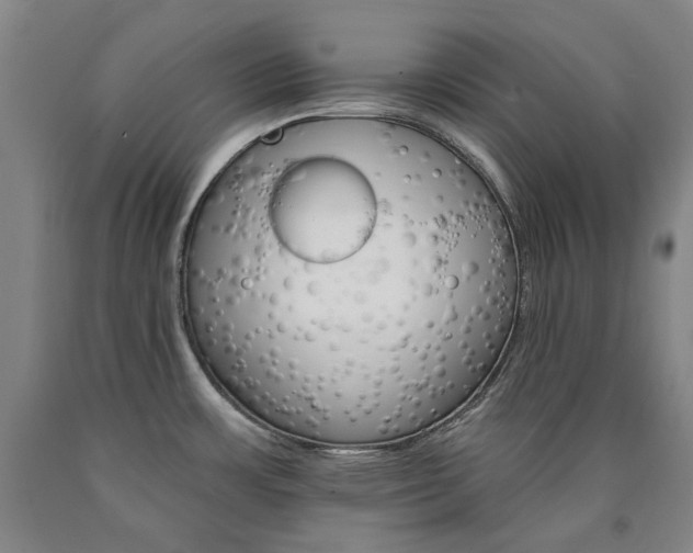 X0000090921483200707301523