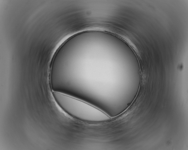 X0000090921484200707301523