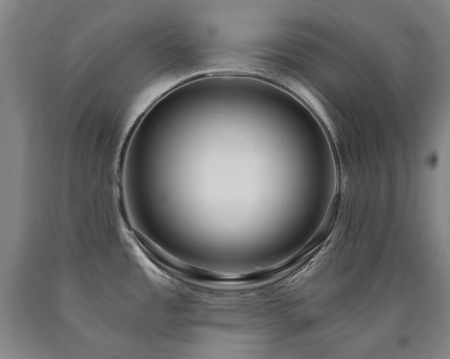 X0000090921485200707301523