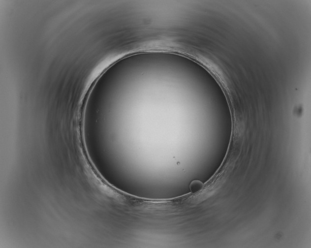 X0000090921486200707301523