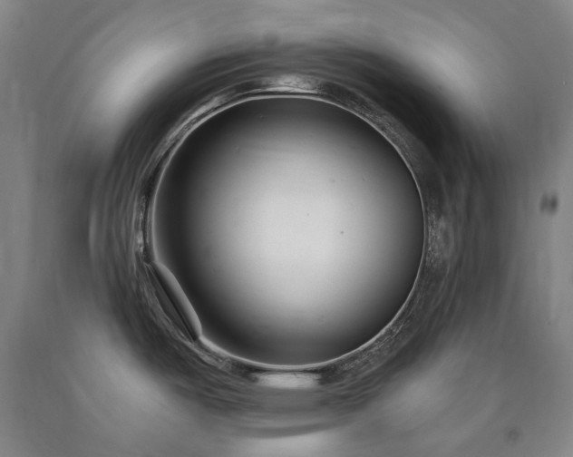 X0000090921487200707301523