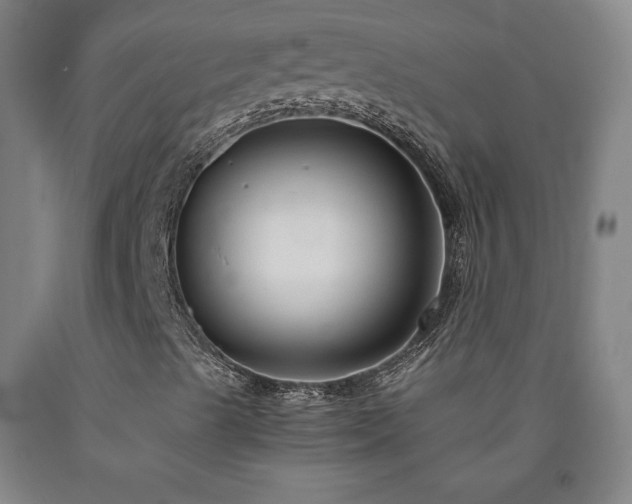 X0000090921489200707301522