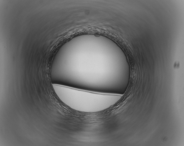 X0000090921490200707301522