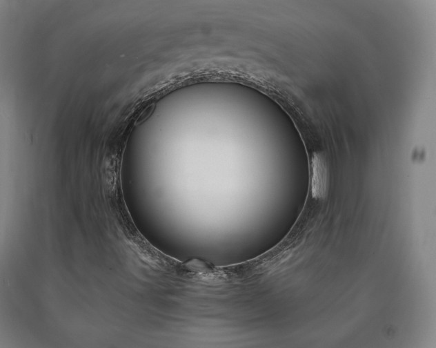 X0000090921491200707301522