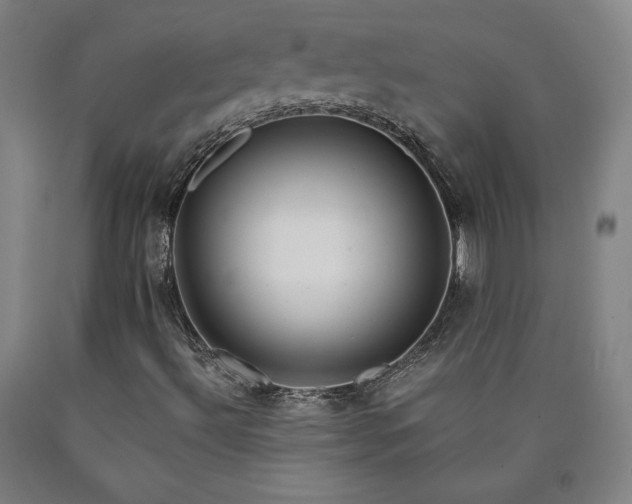 X0000090921492200707301522