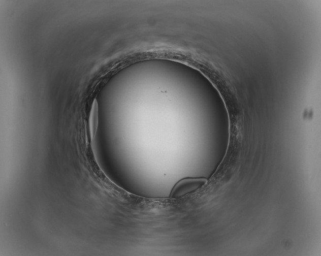 X0000090921493200707301522