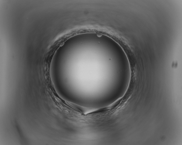 X0000090921494200707301522