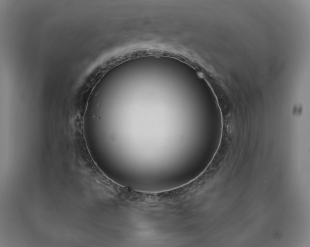 X0000090921495200707301522