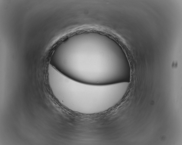 X0000090921496200707301522