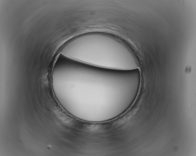 X0000090921497200707301522