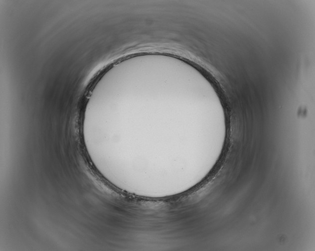 X0000090921498200707301522
