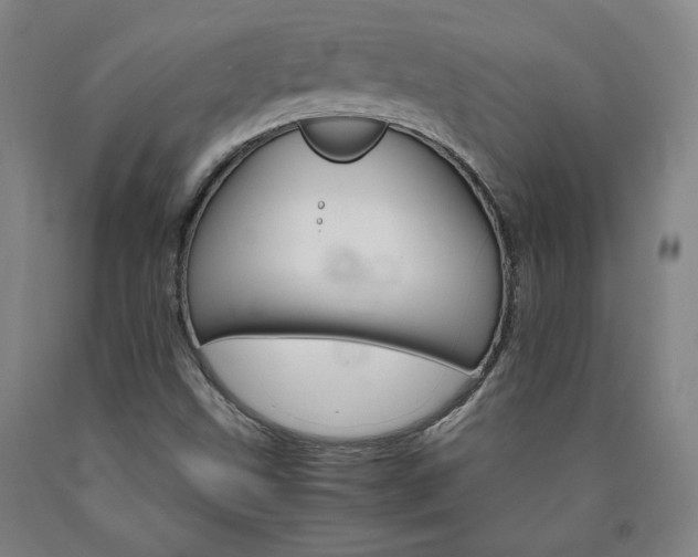 X0000090921499200707301522