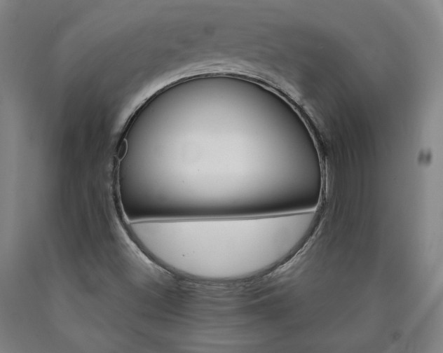 X0000090921500200707301522